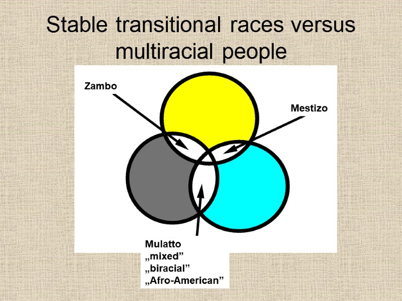 Stable transitional races versus multiracial people Mestizo Mulatto „mixed” „biracial” „Afro-American” Zambo